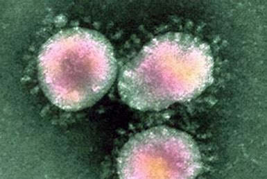 Coronavirus